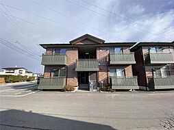 ミルキーウェイＡ 102