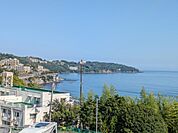 海が見え、眺望は良好です