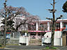 周辺：さくら保育園