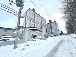 ロピア平岸
