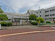 小金井第一中学校まで（1100m）