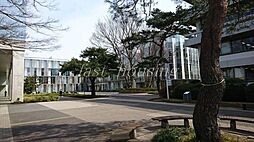 [周辺] 私立東京経済大学 1428m