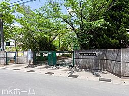 [周辺] 松戸市立殿平賀小学校 徒歩11分。 880m