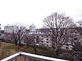 室内から花見が...