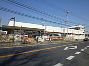ロイヤルホームセンター新座店 1164m