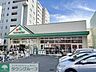 周辺：マルエツ成増南口店 980m