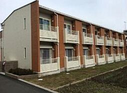 レオネクストテネレッツァ