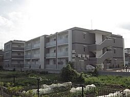 セジュール　藤