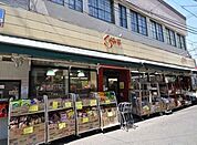 倉喜屋 234m