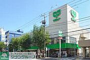 サミットストア鷺宮店 徒歩12分。スーパー 930m