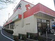 オザム 750m