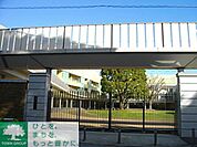 青山学院幼稚園 徒歩10分。幼稚園・保育園 770m