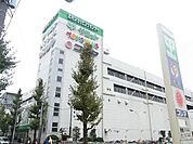 サミット 300m