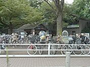 井の頭公園 400m