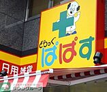 どらっぐぱぱす江戸川橋店 徒歩14分。ドラックストア 1110m