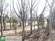 松ヶ崎中央公園 30m