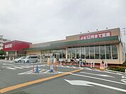 カスミフードスクエア西の原店 829m