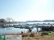 手賀沼公園 1700m