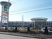 モラージュ柏 1600m