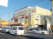 ＭＥＧＡドンキホーテ 1500m