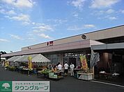 マルヤ沼南店 2443m