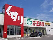 スギ薬局中青木店 943m