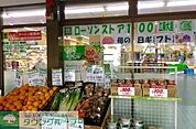 ローソンストア100江東大島六丁目団地店 徒歩4分。コンビニ 260m