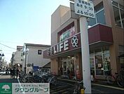 ライフ東向島店 206m