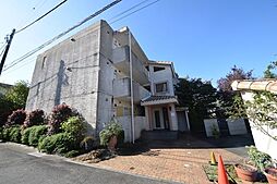 カサブランカＮ 302