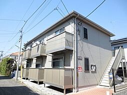 アムールｋｏｇａｎｅｉ