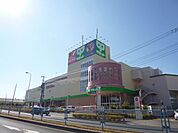 サミット 838m