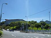 大妻女子大学 1000m