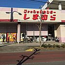 ファッションセンターしまむら中藤店 1158m
