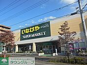 いなげや 徒歩4分。ドラックストア 260m