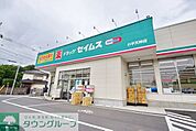 ドラッグセイムス小平天神店 徒歩12分。ドラックストア 890m
