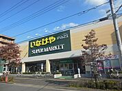 いなげや 700m