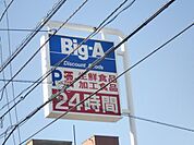 ビッグエー 250m