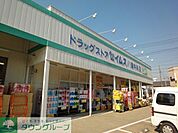 セイムス 徒歩16分。ドラックストア 1240m