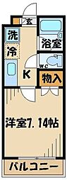 ラフィーネ 5階1Kの間取り
