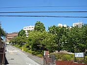 帝京大学 1600m