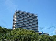 明星大学 2500m