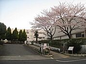 連光寺小学校 356m