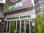 スターバックスコーヒー 850m