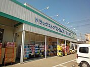 セイムス 747m