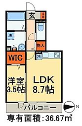ソフィアST 1LDKの間取図画像