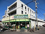 カワグチ 570m