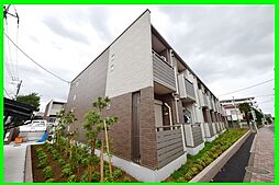 ミランダファルコナーII