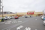 ヤオコー大宮蓮沼店 1883m