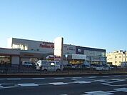 アベイル西大宮店 1301m