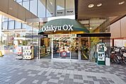 Odakyu OX 1113m